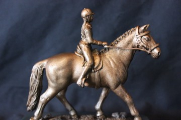 Dressuur paard met ruiter