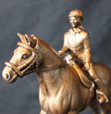 Dressuur paard met ruiter