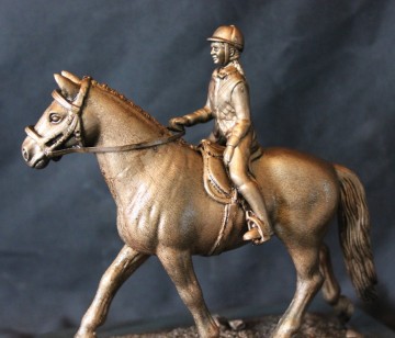 Dressuur paard met ruiter