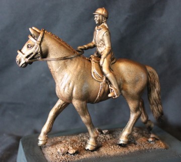 Dressuur paard met ruiter