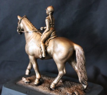 Dressuur paard met ruiter