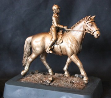 Dressuur paard met ruiter