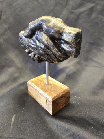 Whatsapp image 2026 03 15 at 122242