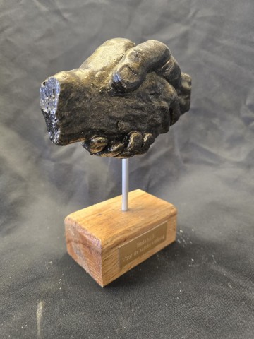 Whatsapp image 2026 03 15 at 122243